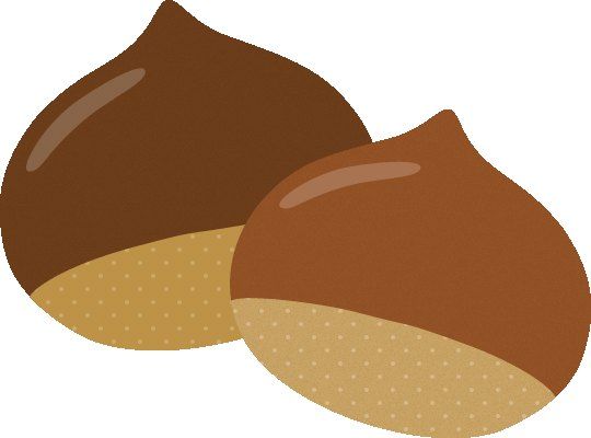栗が2つ並んだイラスト