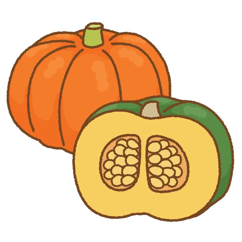 丸ごとのかぼちゃと、半分に切ったかぼちゃのイラスト