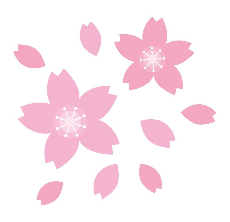 桜の花と花びらのイラスト